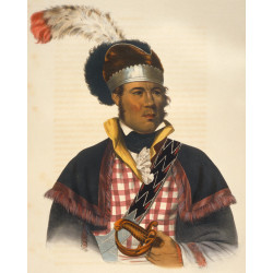 American Legend n°46